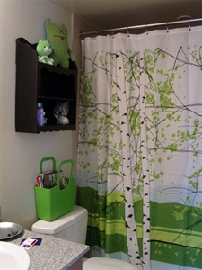 Picture of Shower Curtains